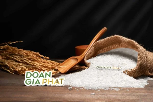 Gạo jasmine đoàn gia phát