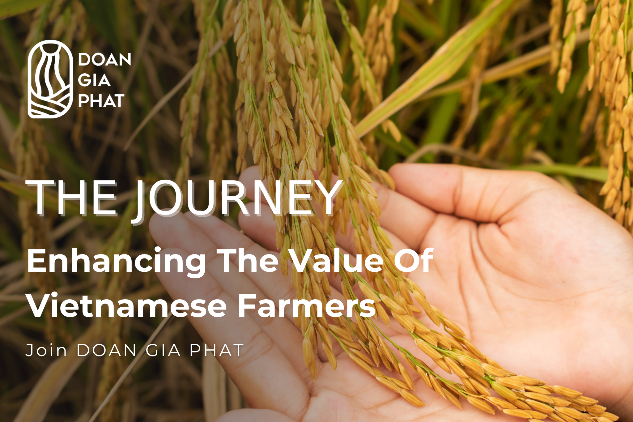 The-Journey-enhancing-the-value-of-vietnamese-farmers