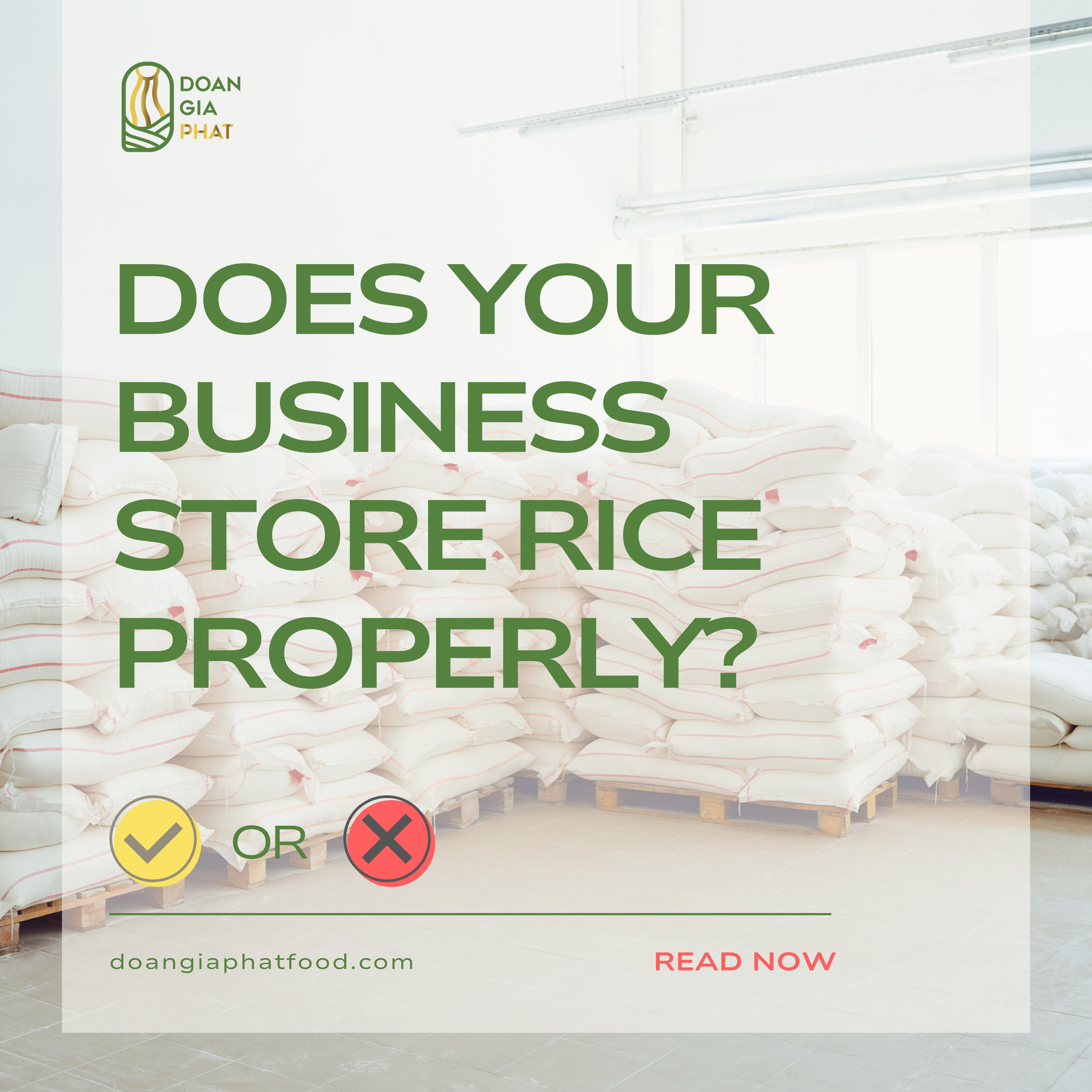 DOES-YOUR-BUSINESS-STORE-RICE-PROPERLY-?